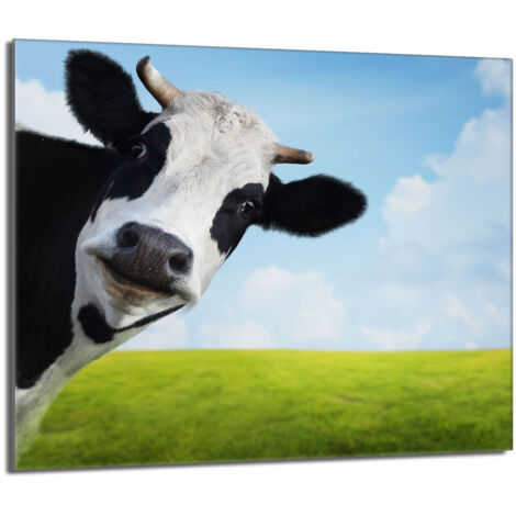 Plaque de protection en verre pour le poêle 60x52 Vache (1/5)
