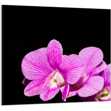 PANNEAU DE VERRE POUR CUISINE 65x60 Orchidée (1/5)