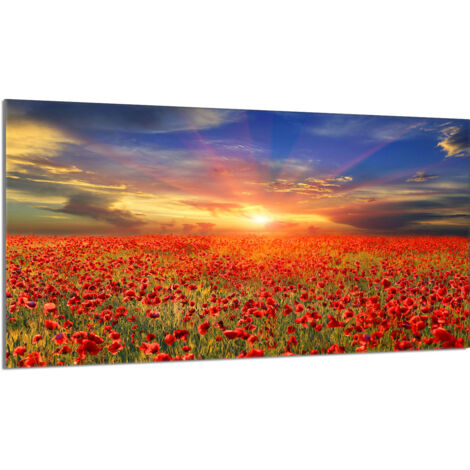 Plaque de protection en verre pour le poêle 90x52 Maki