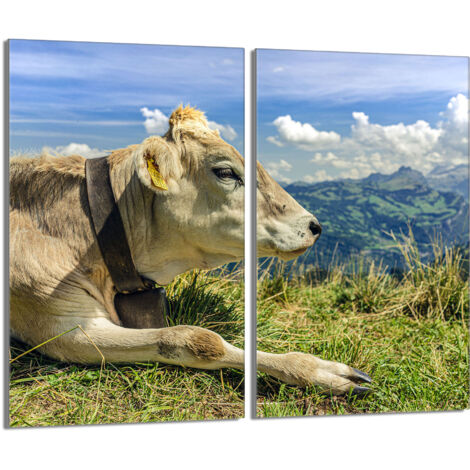 Plaque de protection en verre pour le poêle 2x30x52 Vache (1/5)