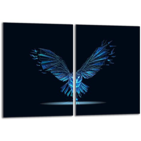 Plaque de protection en verre pour poêle 2x40x52 Bird (1/5)