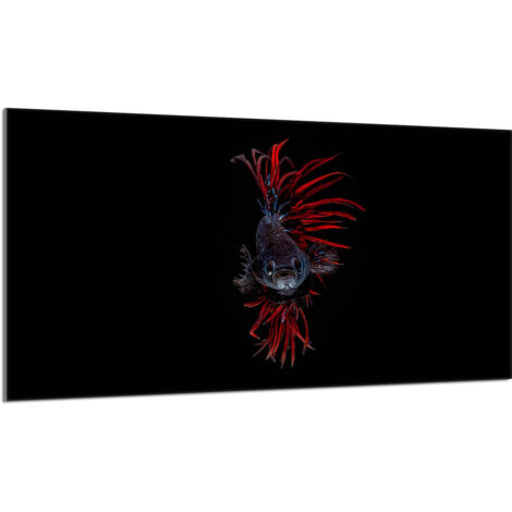 Plaque de protection en verre pour le poêle 90x52 Fish (1/5)