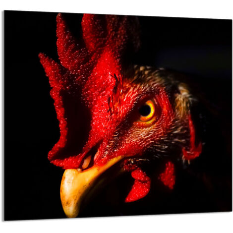 PANNEAU DE VERRE POUR CUISINE 65x60 Coq (1/5)