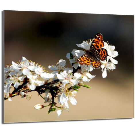 Plaque de protection en verre pour poêle 60x52 Prune (1/5)
