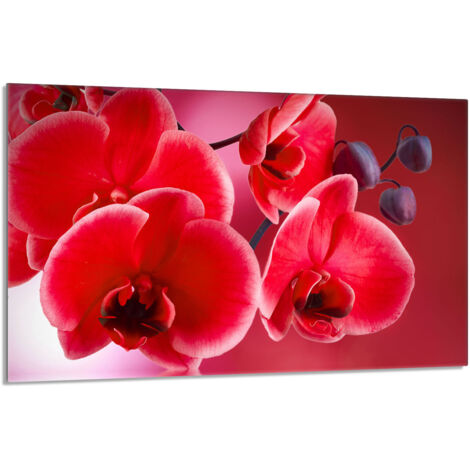 Plaque de protection en verre pour poêle 80x52 Orchidea (1/5)