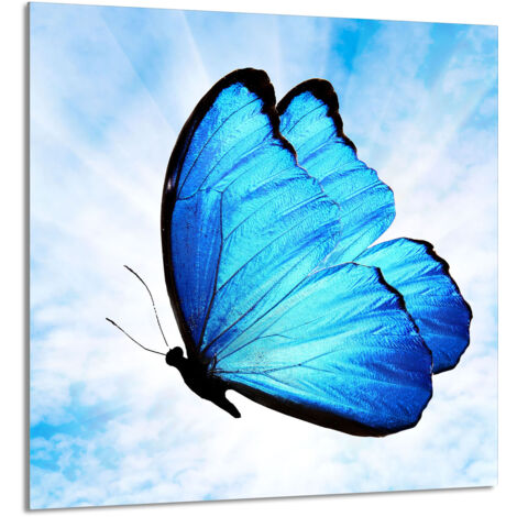 PANNEAU DE VERRE POUR CUISINE 60x65 Papillon (1/5)