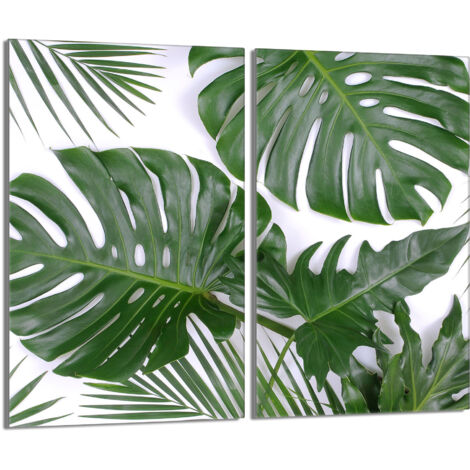 Protection de plaque de cuisson en verre 2x30x52 Monstera (1/5)