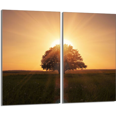 Plaque de protection en verre pour poêle 2x30x52 Tree (1/5)