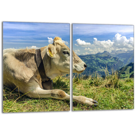 Plaque de protection en verre pour le poêle 2x40x52 Vache (1/5)