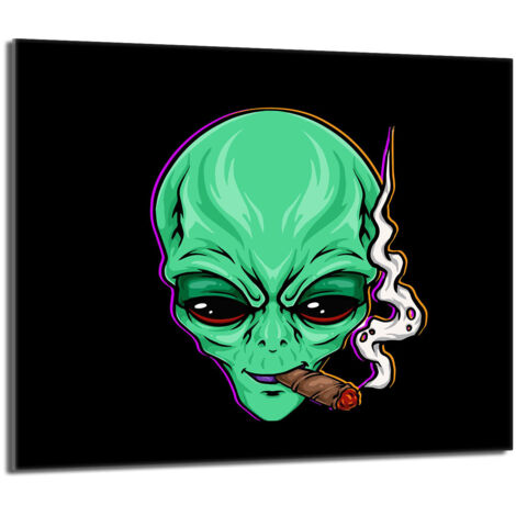 Plaque de protection en verre pour le poêle 60x52 UFO (1/5)