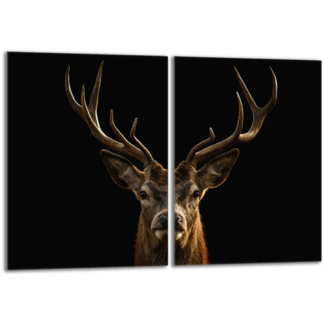 Plaque de protection en verre pour le poêle 2x40x52 Deer (1/5)