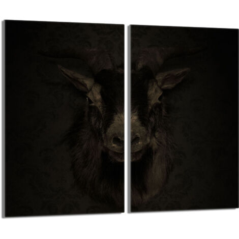 Plaque de protection en verre pour poêle 2x30x52 Koza (1/5)