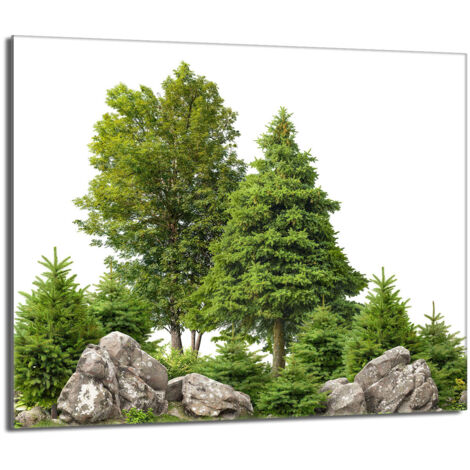 Protection de plaque de cuisson en verre 60x52 Arbres (1/5)