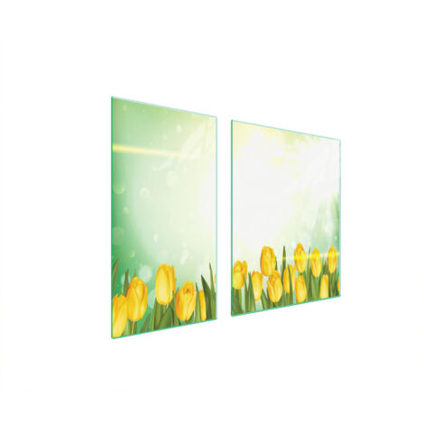 PLAQUE DE PROTECTION EN VERRE POUR POÊLE 90x52 TULIPES (1/5)