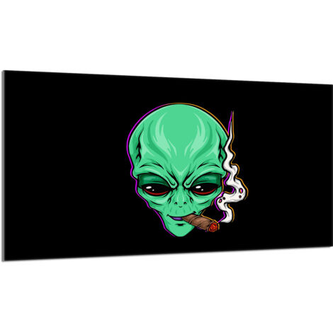 Plaque de protection en verre pour le poêle 90x52 UFO (1/5)
