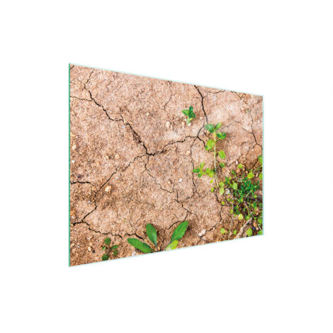 PLANCHE À DÉCOUPER EN VERRE 30x22 PLANTES (1/5)