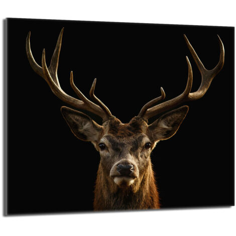 Plaque de protection en verre pour le poêle 60x52 Deer (1/5)