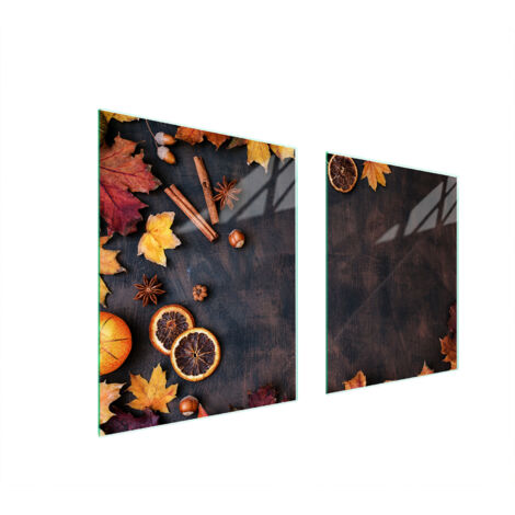 PLAQUE DE PROTECTION EN VERRE POUR POÊLE 85x52 FEUILLES (1/5)