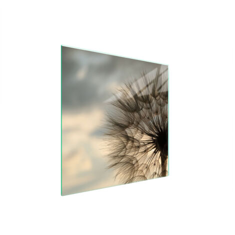 PLAQUE DE PROTECTION EN VERRE POUR POÊLE 50x52 FLEUR (1/5)