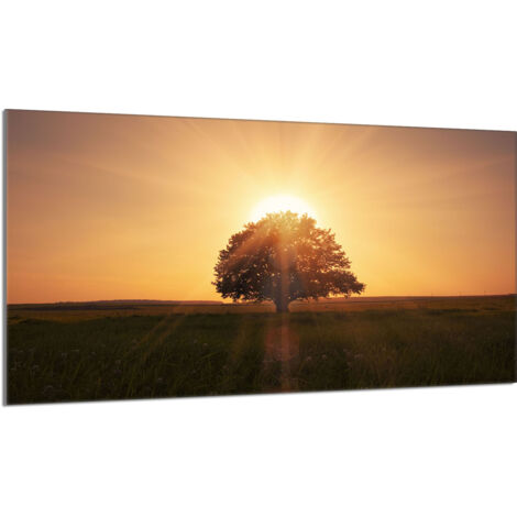 Plaque de protection de poêle en verre 90x52 Tree (1/5)