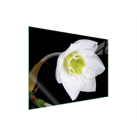PLAQUE DE PROTECTION EN VERRE POUR POÊLE 70x52 ORCHIDÉE (1/5)