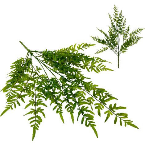 Fougère caoutchouc verte - bouquet de feuilles de fougère 73 cm (1/5)