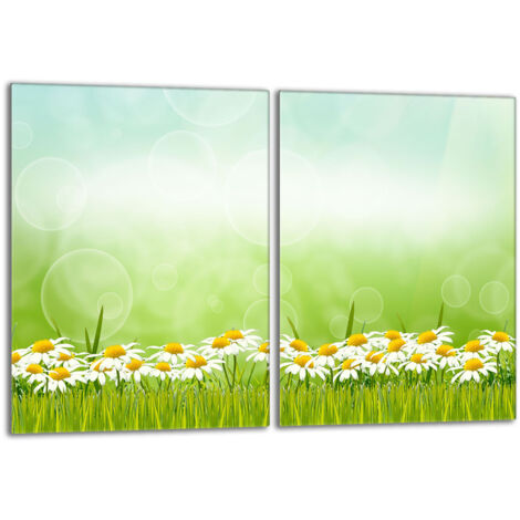 Plaque de protection en verre pour le poêle 2x40x52 Marguerites (1/5)
