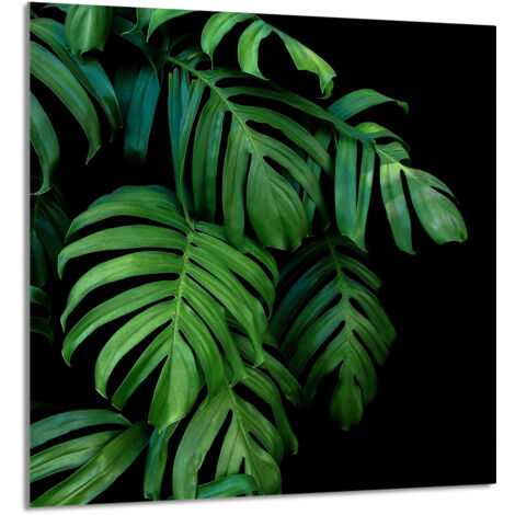 PANNEAU DE VERRE POUR CUISINE 60x65 Monstera (1/5)
