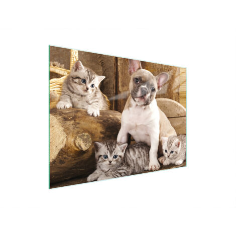 PLANCHE À DÉCOUPER EN VERRE 30x22 CHIEN (1/5)