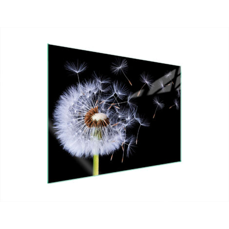 PLAQUE DE PROTECTION EN VERRE POUR POÊLE 70x52 FLEUR (1/5)