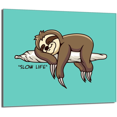 Plaque de protection de poêle en verre 60x52 Sloth (1/5)