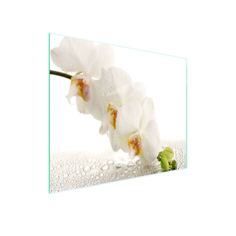PLANCHE À DÉCOUPER EN VERRE 52x30 ORCHIDÉE (1/5)