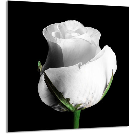 PANNEAU DE VERRE POUR CUISINE 60x65 Rose (1/5)
