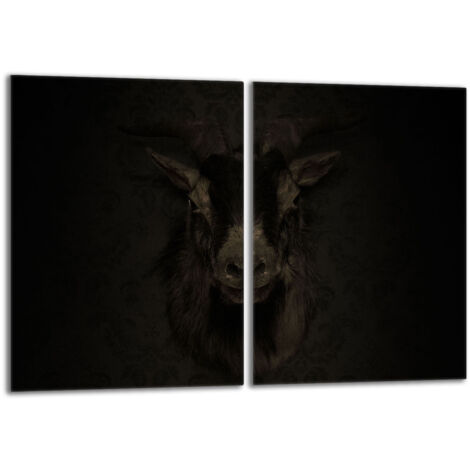 Plaque de protection en verre pour poêle 2x40x52 Koza (1/5)
