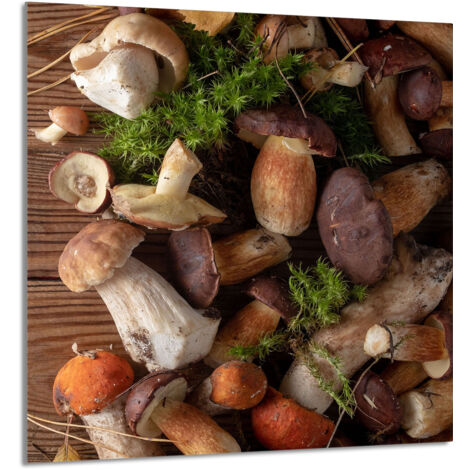 PANNEAU DE VERRE POUR CUISINE 60x65 Champignons (1/5)