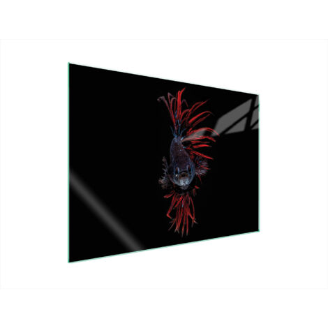 PLAQUE DE PROTECTION EN VERRE POUR POÊLE 70x52 FISH (1/5)