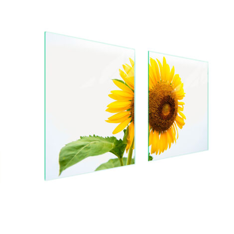PLAQUE DE PROTECTION EN VERRE POUR POÊLE 85x52 FLEUR (1/5)