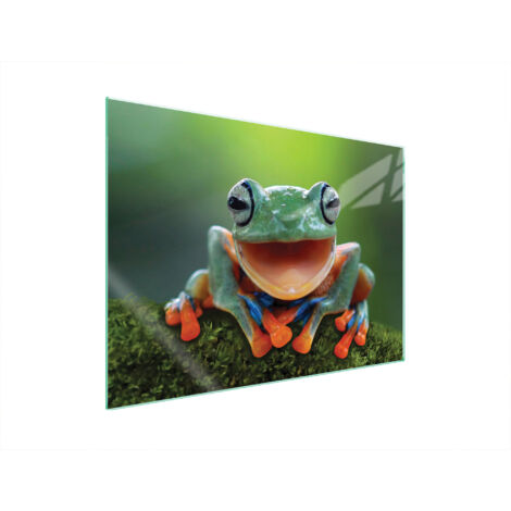 PLAQUE DE PROTECTION EN VERRE POUR POÊLE 70x52 FROG (1/5)
