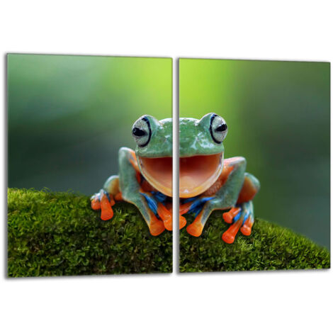Plaque de protection en verre pour le poêle 2x40x52 Frog (1/5)