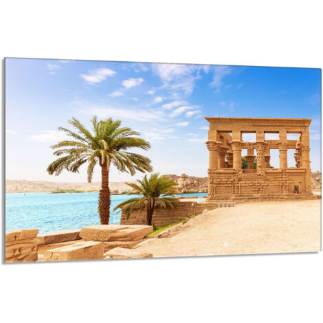 Protection de plaque de cuisson en verre 80x52 Palmiers (1/5)
