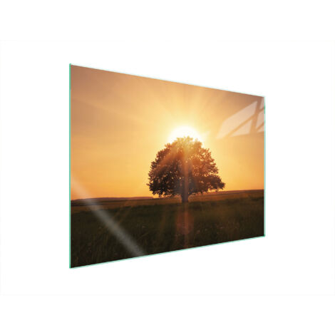 PLAQUE DE PROTECTION EN VERRE POUR POÊLE 70x52 TREE (1/5)