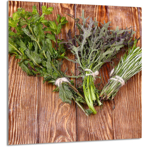 PANNEAU DE VERRE POUR CUISINE 60x65 Romarin (1/5)