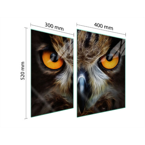 PLAQUE DE PROTECTION EN VERRE POUR POÊLE 70x52 OWL (1/5)