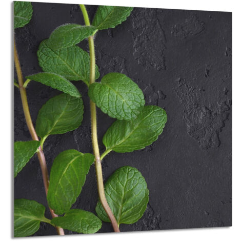 PANNEAU DE VERRE POUR CUISINE 60x65 Menthe (1/5)