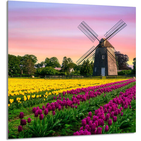 PANNEAU DE VERRE POUR CUISINE 60x65 Meadow (1/5)