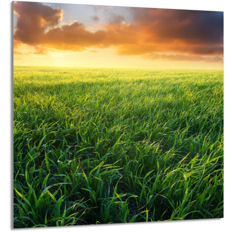 PANNEAU DE VERRE POUR CUISINE 60x65 Voir (1/5)