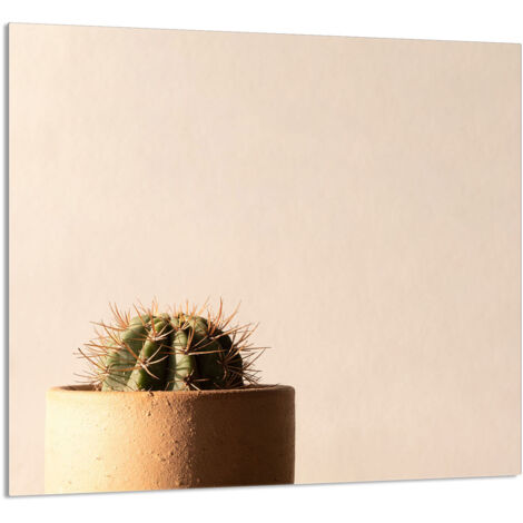 PANNEAU DE VERRE POUR CUISINE 65x60 Cactus (1/5)