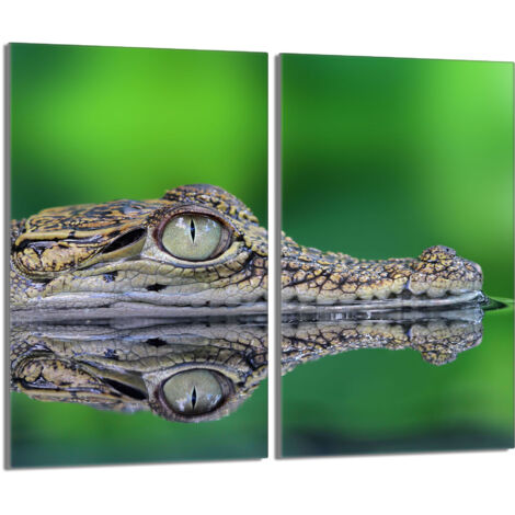 Plaque de protection en verre pour le poêle 2x30x52 Crocodile (1/5)