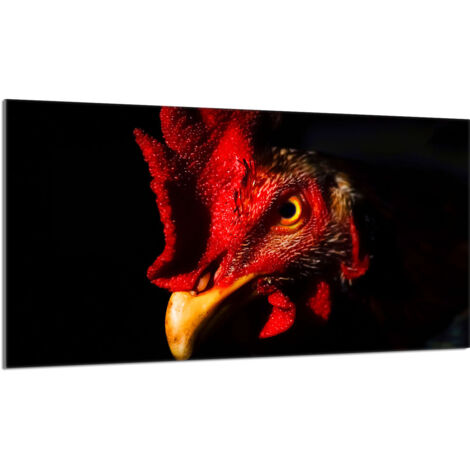 Plaque de protection en verre pour le poêle 90x52 Rooster (1/5)