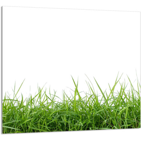 PANNEAU DE VERRE POUR CUISINE 65x60 Blanc (1/5)
